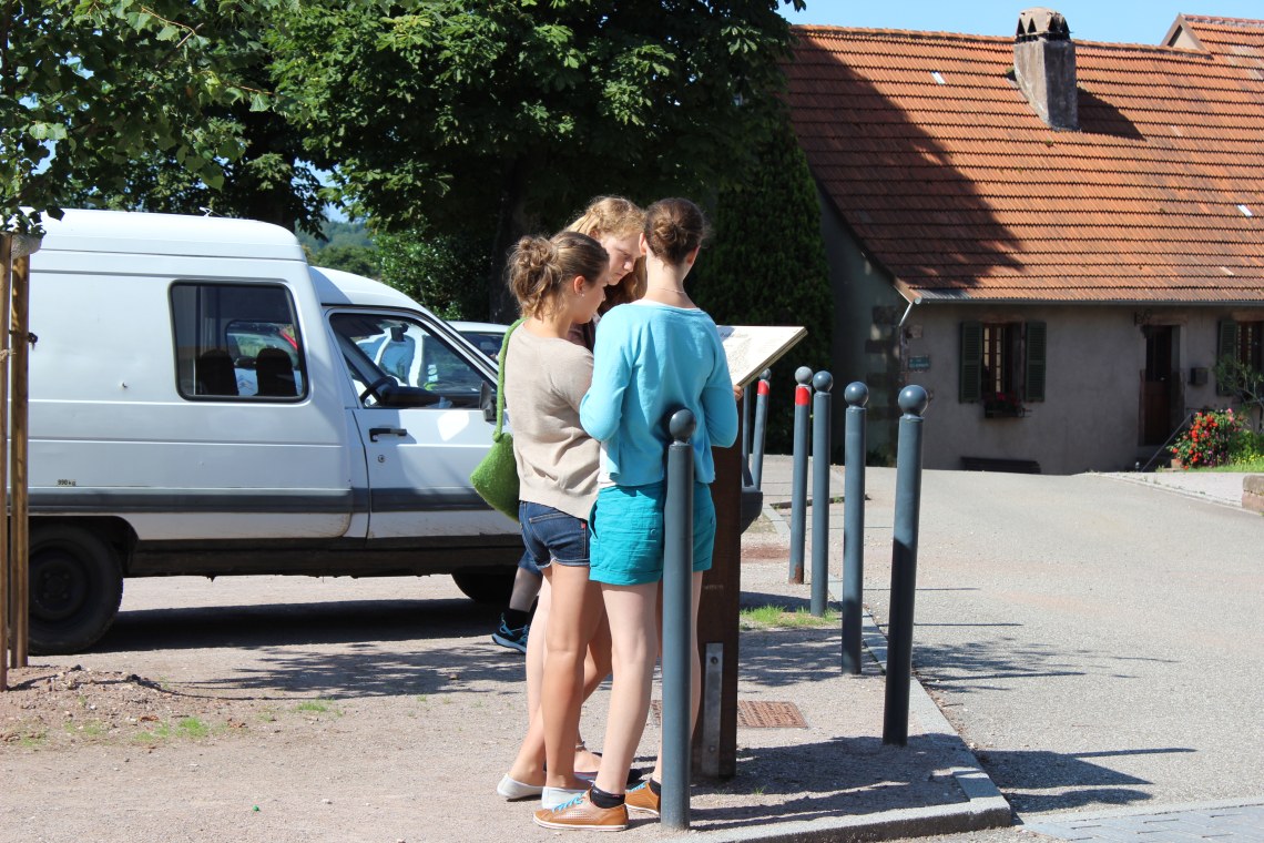 Bild 5